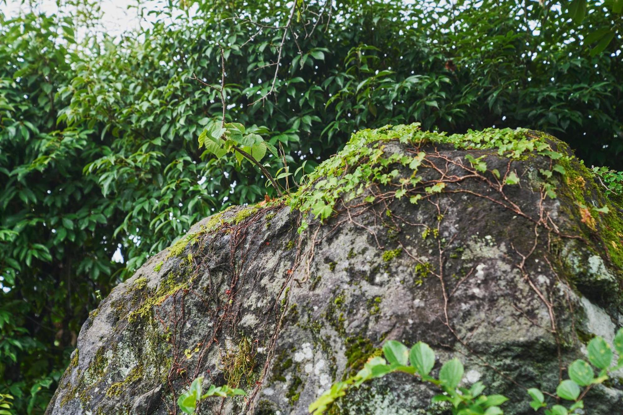 Villa 温泉付きの一軒家を借りよう Beppu Esterno foto